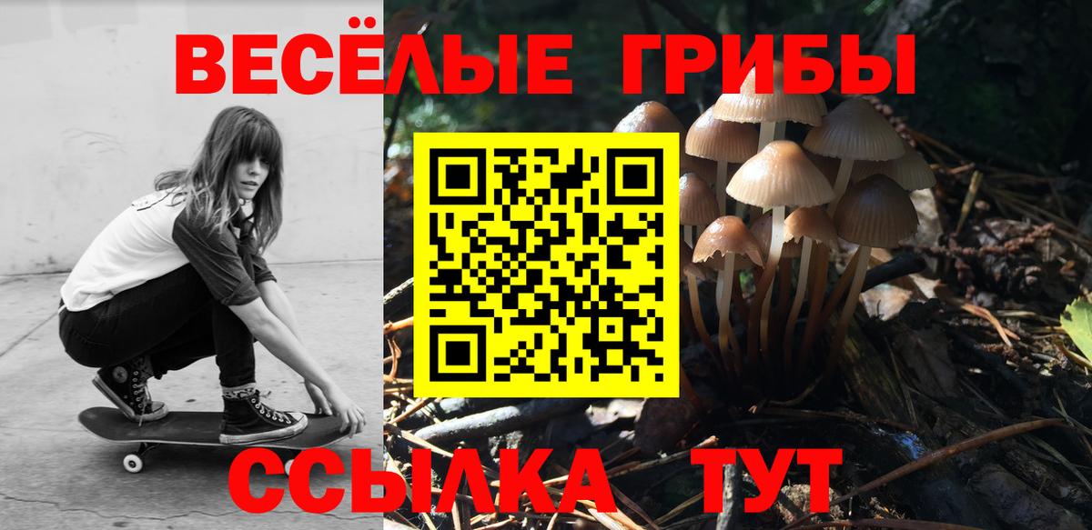 Псилоцибиновые грибы Psilocybe  Псилоцибиновые грибы GOLDEN TEACHER  Вход с VPN  Алексин 